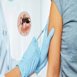 La ANMAT aprobó la vacuna contra el dengue: cuándo llegará al país y cómo será su aplicación