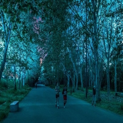 Cuarantena y primavera mejoran el medio ambiente