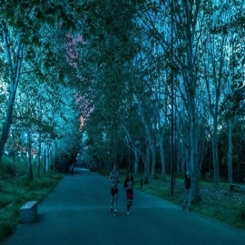 Cuarantena y primavera mejoran el medio ambiente