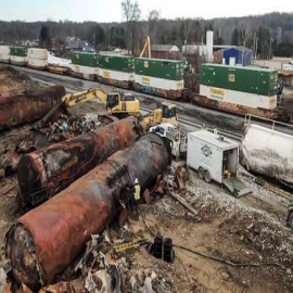 Animales mueren en parques estatales de Ohio después del descarrilamiento del tren de East Palestine