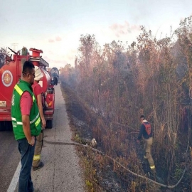 Cancún: Abren nueve expedientes por incendios provocados en Quintana Roo