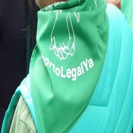 Diputada mexicana deplora “moda ideológica" del feminismo violento pro falsos derechos