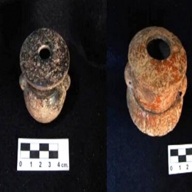 Yucatán: Analizan antiguos recipientes mayas y detectan uso de una flor medicinal