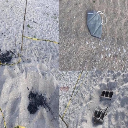 Denuncian destrucción de nidos de tortuga en playas de Chuburná