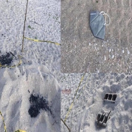 Denuncian destrucción de nidos de tortuga en playas de Chuburná