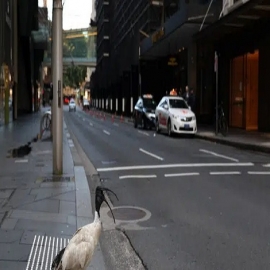 Sydney desplegará tropas EXTRA para hacer cumplir el bloqueo mientras se extienden las restricciones después de que se detectara UN solo caso