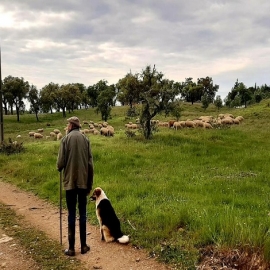 Portugal sigue el camino de Suecia