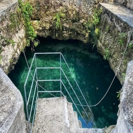 QUERÍAN UNA ALBERCA Y DESCUBREN LA ENTRADA A UN CENOTE EN EL PATIO DE SU CASA EN YUCATÁN