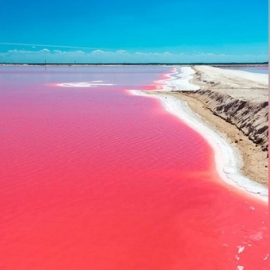 Mañana reinician los paseos turísticos a Las Coloradas y Río Lagartos