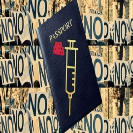 Los pasaportes de vacunas se planificaron incluso antes de que comenzara la pandemia
