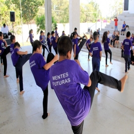 TEMA: SEMBRANDO PAZ CON EL DEPORTE INFANTIL A TRAVÉS DE LA DISCIPLINA DE KARATE DO “MENTES FUTURAS”