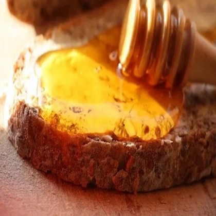 Tulum: Producción de miel registra sus números más bajos en 20 años