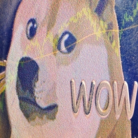 Dogeday: el interés por dogecoin está en máximo histórico