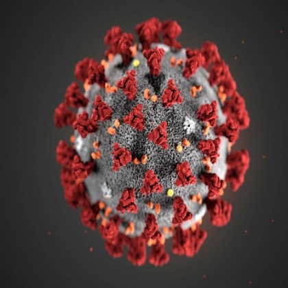 Coronavirus e influenza: ¿Qué tienen en común y cuál debería preocuparnos más?