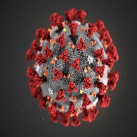 Coronavirus e influenza: ¿Qué tienen en común y cuál debería preocuparnos más?