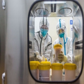 Nuevos correos electrónicos muestran que los científicos eliminaron una advertencia temprana del posible origen del COVID en un laboratorio