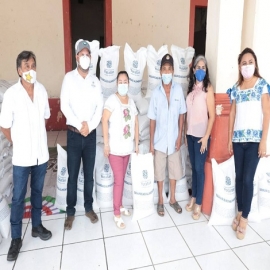 Continúa distribución de frijol Jamapa y chile habanero a productores yucatecos