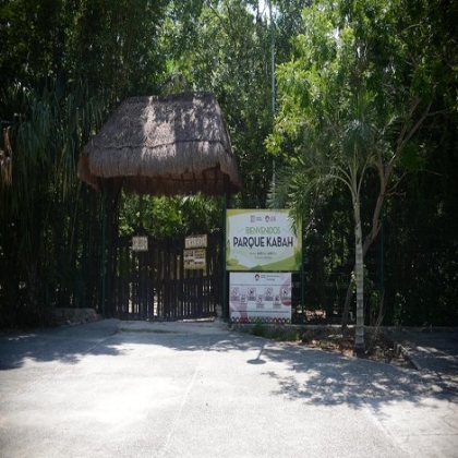 Cancún: Prevén que el Plan de Manejo del parque Kabah quede listo antes de 2021