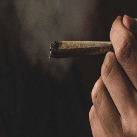 Obispos critican intento de legalizar “uso lúdico” de la marihuana en México
