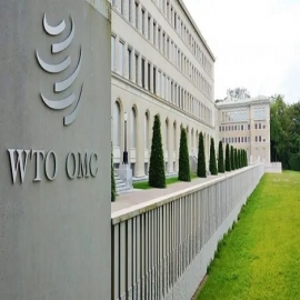 Dejen de señalar a China si quieren apoyo en las reformas comerciales globales, dice el jefe de la Organización Mundial de Comercio a las potencias mundiales