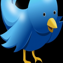 El Fundador De Twitter También Apuesta Por El Bitcoin Con Un Proyecto Millonario