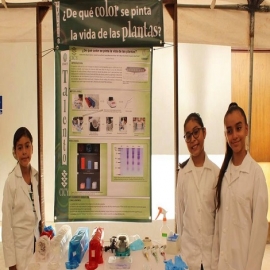 ¿Te gusta la ciencia? Participa en el plan Talento CICY para niños y jóvenes