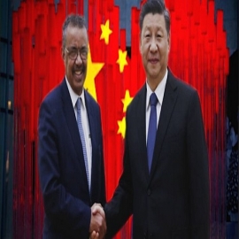 China es elegida para la junta directiva de la Organización Mundial de la Salud