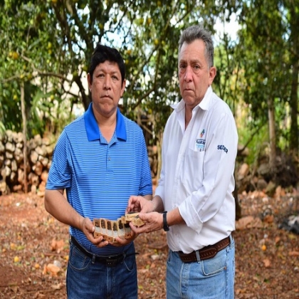 -El Gobierno de Vila Dosal ha entregado más de 38 mil abejas reinas para fortalecer la producción de miel.