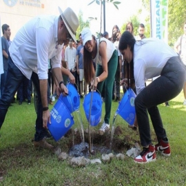 Con el programa “Arborizando Yucatán” se han distribuido y plantado más de 900 mil árboles en 97 municipios
