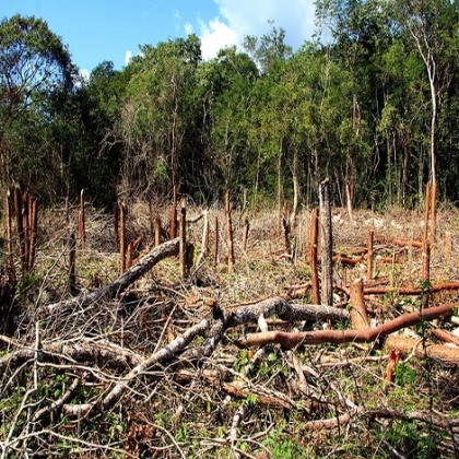 Yucatán: Sequía empieza a sentirse y será extensa durante este año