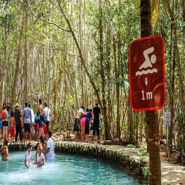 Si eres yucateco ahora pagarás 45 pesos al visitar el "El Corchito"
