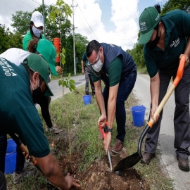 Mérida avanza hacia la sostenibilidad del medio ambiente para mitigar el cambio climático