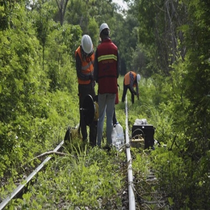 Critican académicos diseño, construcción y operación del Tren Maya