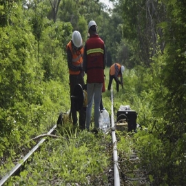 Critican académicos diseño, construcción y operación del Tren Maya