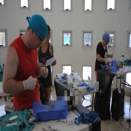 Realizarán campaña de esterilización gratuita de mascotas en Chetumal
