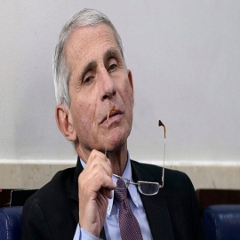 Cómo el senador Rand Paul destruyó al Dr. Fauci y expuso sus contradicciones sobre la pandemia