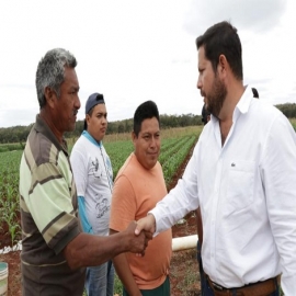 Crecen expectativas en la producción agrícola