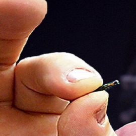 La solicitud de patente 060606 no menciona la inserción de microchips en el cuerpo.