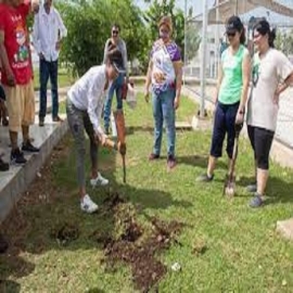 Ciudadanos y organizaciones civiles se suman a la estrategia Arborizando Yucatán