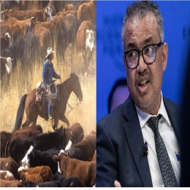 La OMS ‘declara la guerra’ al suministro de alimentos para ‘luchar contra el cambio climático’