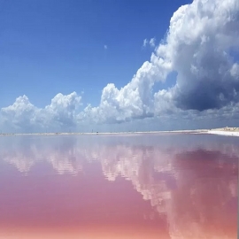Las Coloradas recibe a sus primeros turistas tras la reactivación económica en Yucatán