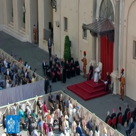 Catequesis del Papa Francisco sobre cómo comportarse ante problemas en la comunidad