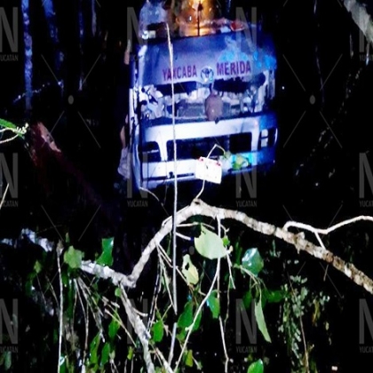 Yucatán: joven taxista se descuida, pierde el control y choca contra un árbol en Yaxcabá