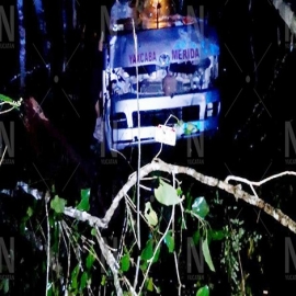 Yucatán: joven taxista se descuida, pierde el control y choca contra un árbol en Yaxcabá