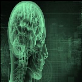 El cerebro es el campo de batalla del futuro. El objetivo declarado del FEM es “alterar al ser humano”