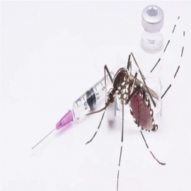 Opinión de un experto: por qué no es conveniente vacunarse contra el dengue